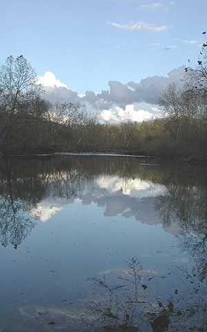 Bryant Creek